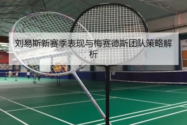 刘易斯新赛季表现与梅赛德斯团队策略解析
